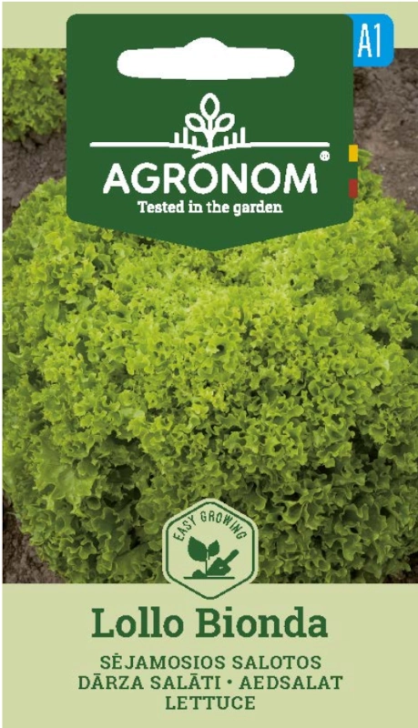 Sałata liściowa Lollo Bionda bardzo smaczna odmiana o dekoracyjnych liściach nasiona 1g AGRONOM sklep rajogrodnika
